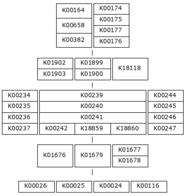 Module M00011 Definition