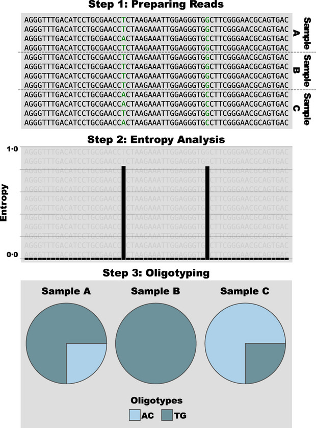 Oligotyping