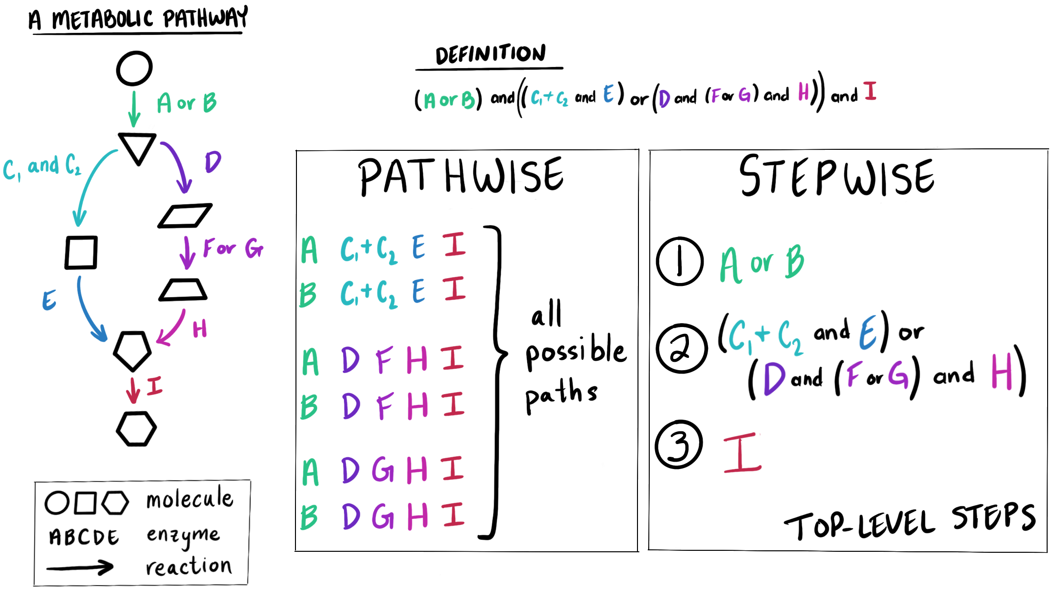 A comparison of the pathwise and stepwise strategies