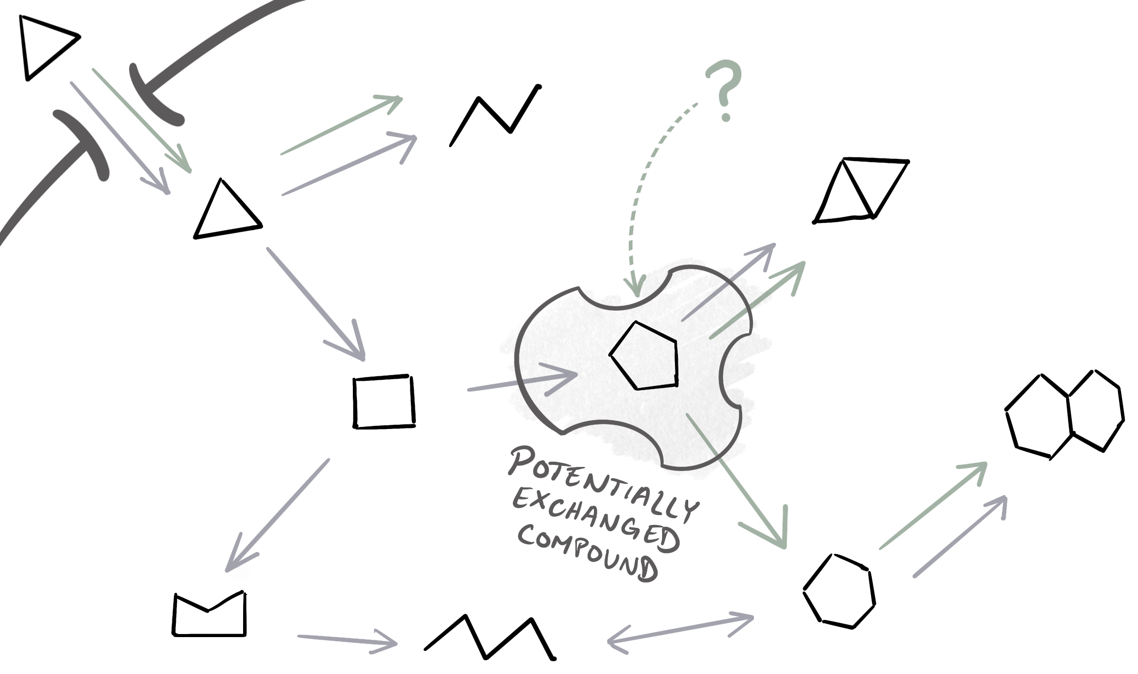 The local reaction network around a potentially-exchanged metabolite