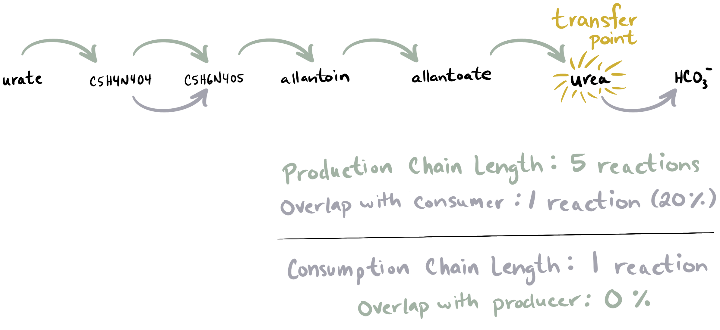 Example reaction chains from the map00230 pathway walk