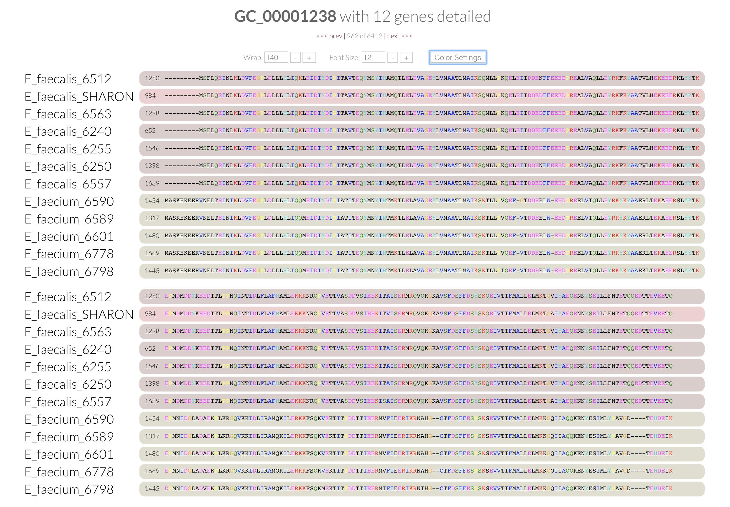 A lovely clustal-like alignment from the anvi'o pangenome display