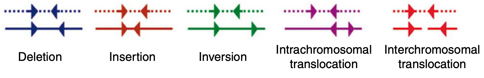 Paired end read orientations