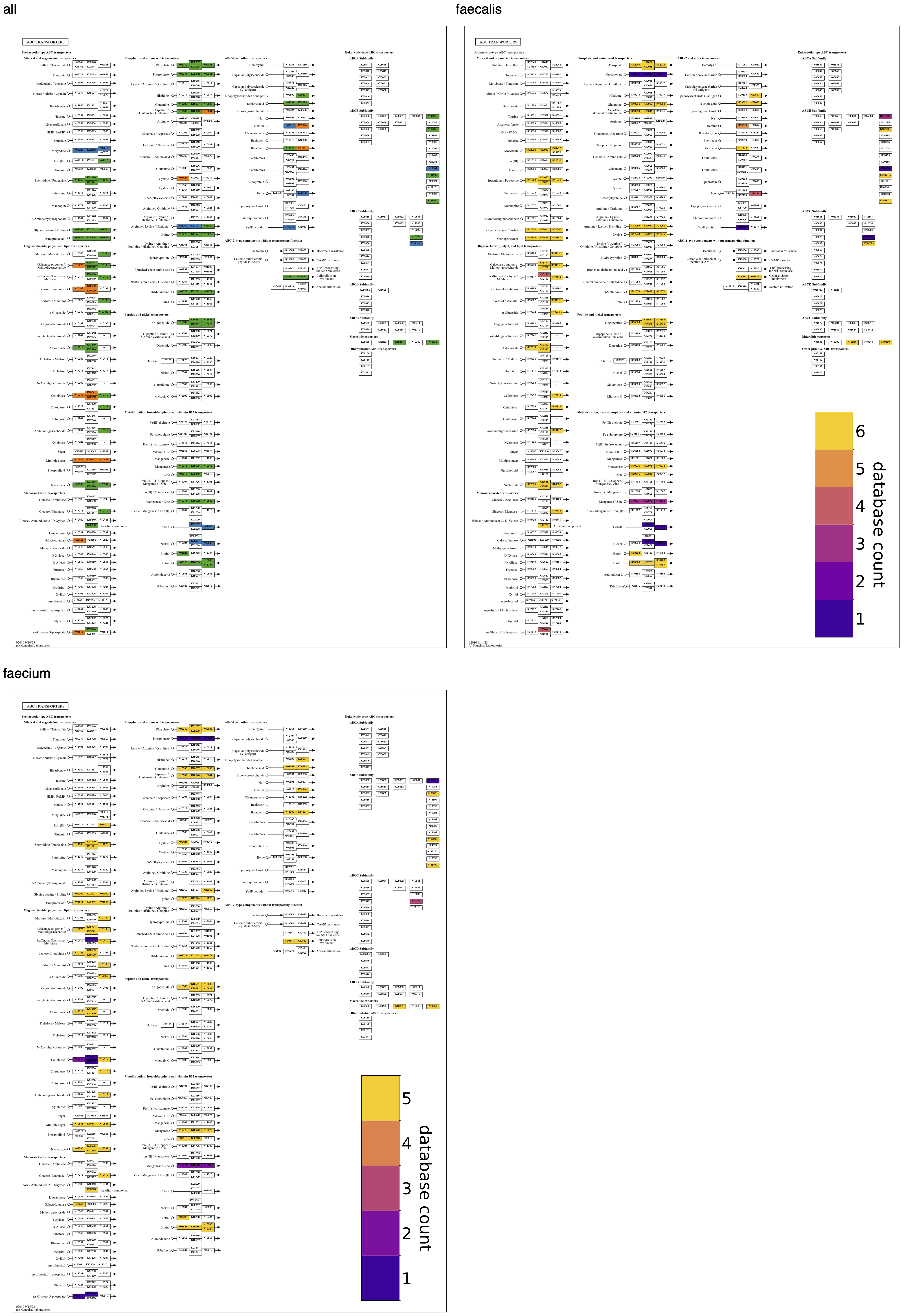 ABC transporter group maps using two group thresholds