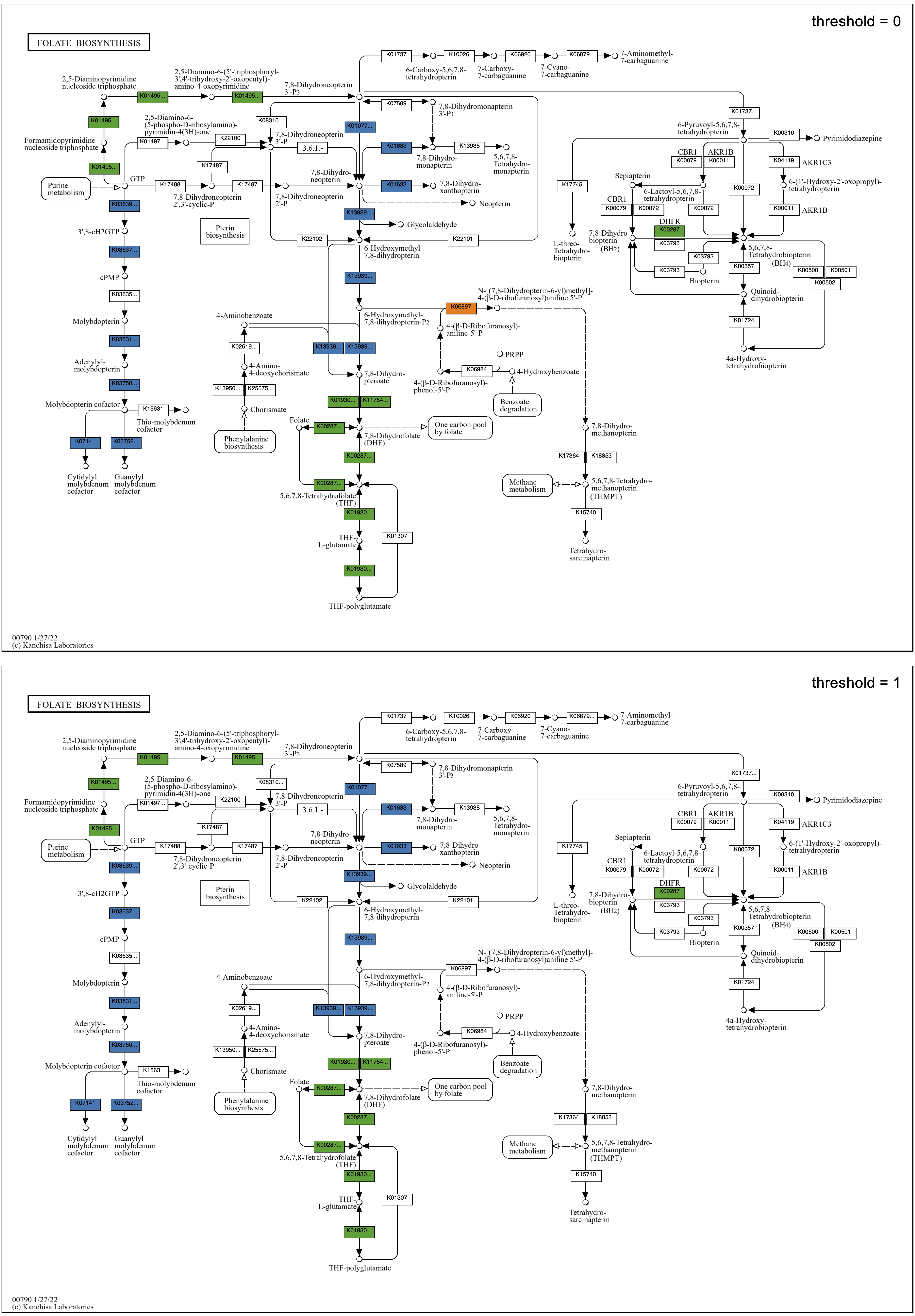 Folate metabolism group maps using two group thresholds