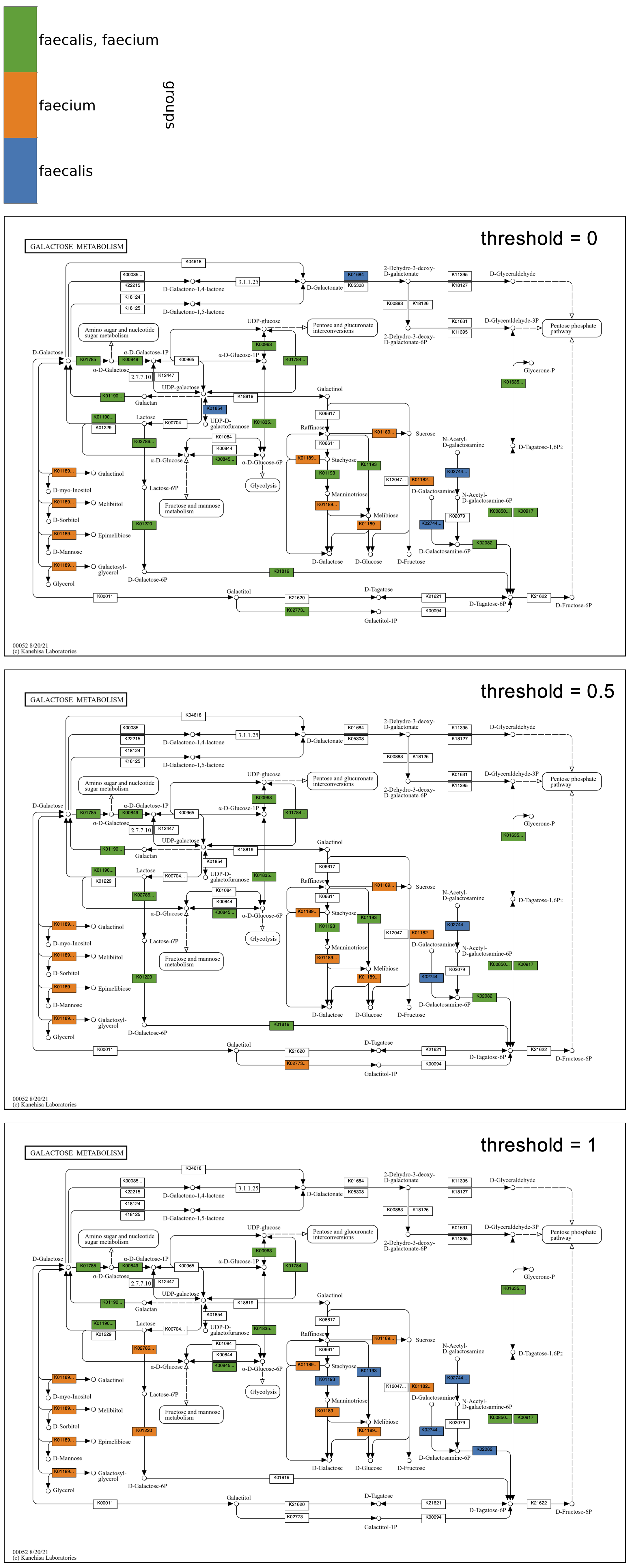 Galactose metabolism group maps using three group thresholds