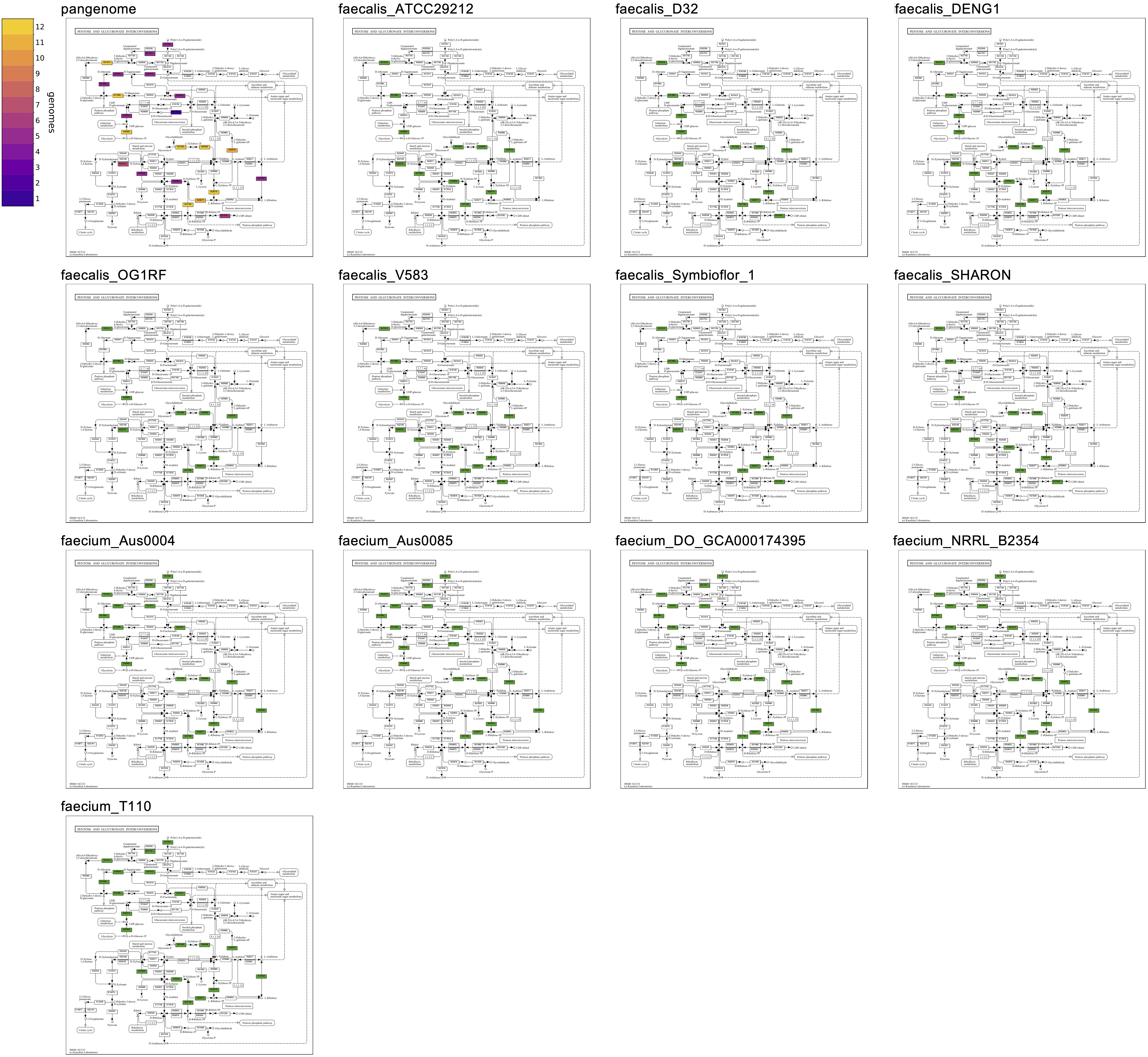 Pangenomic map grid