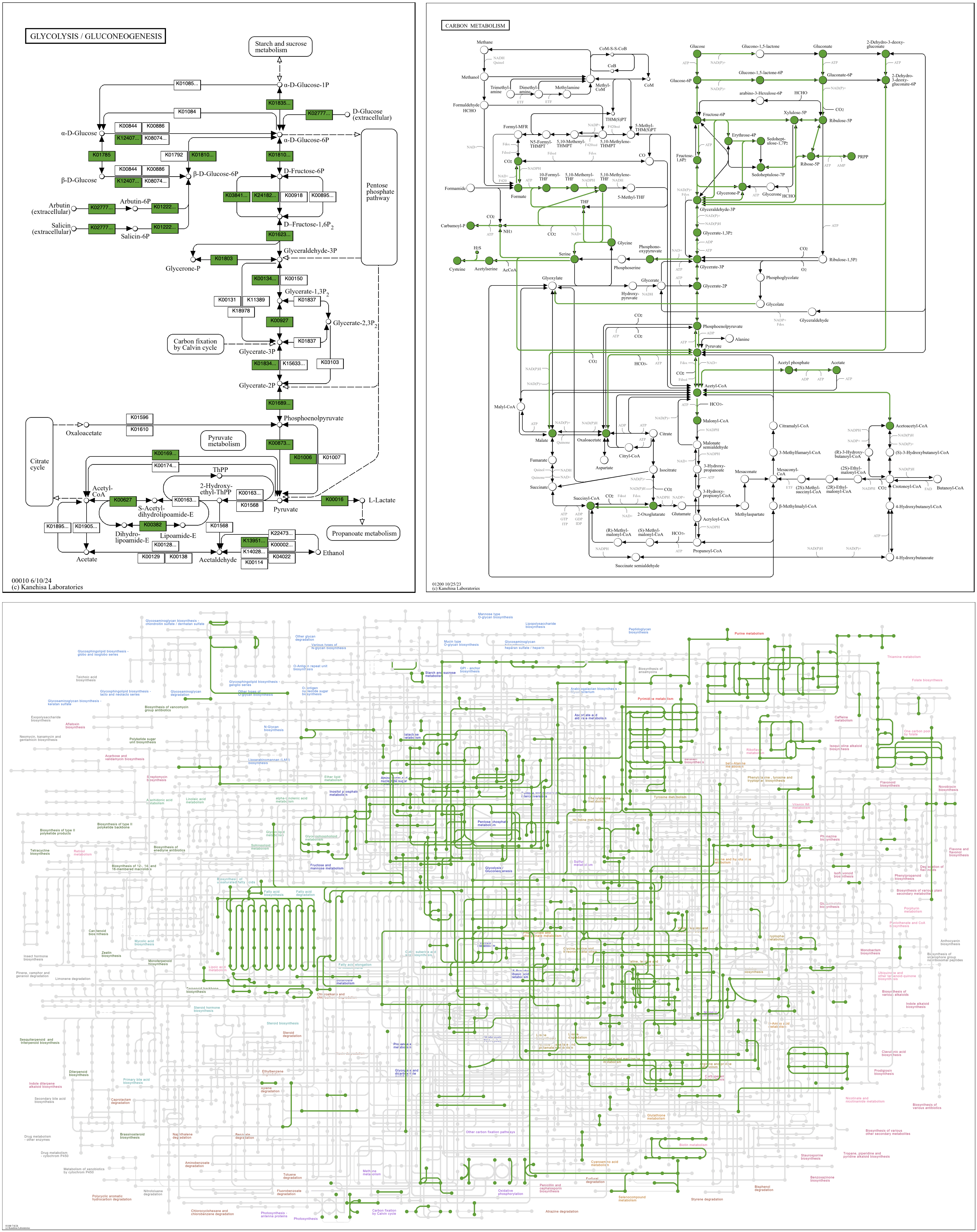 Three maps showing KOs from a single contigs database