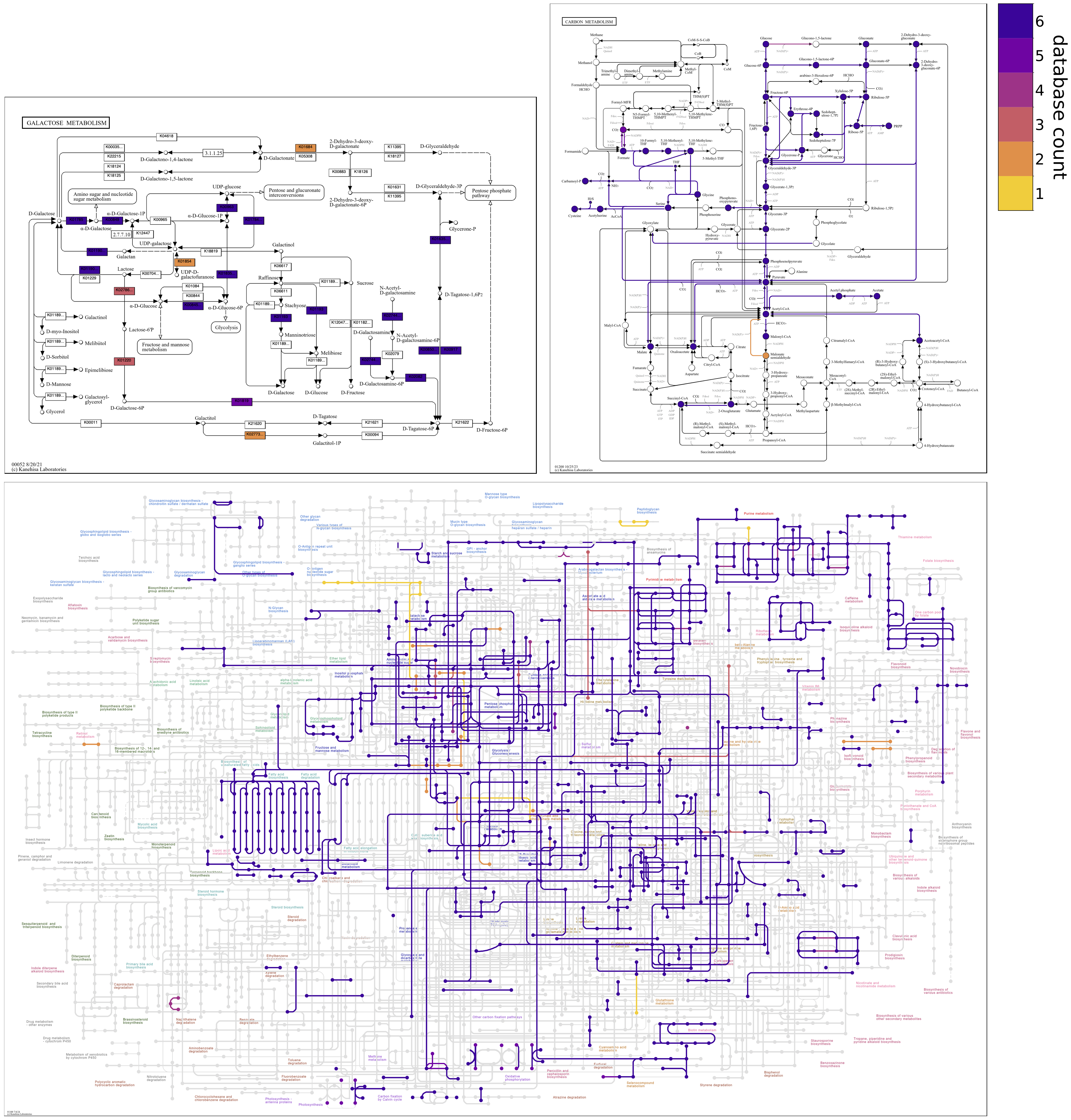 Three maps showing KOs from six contigs databases