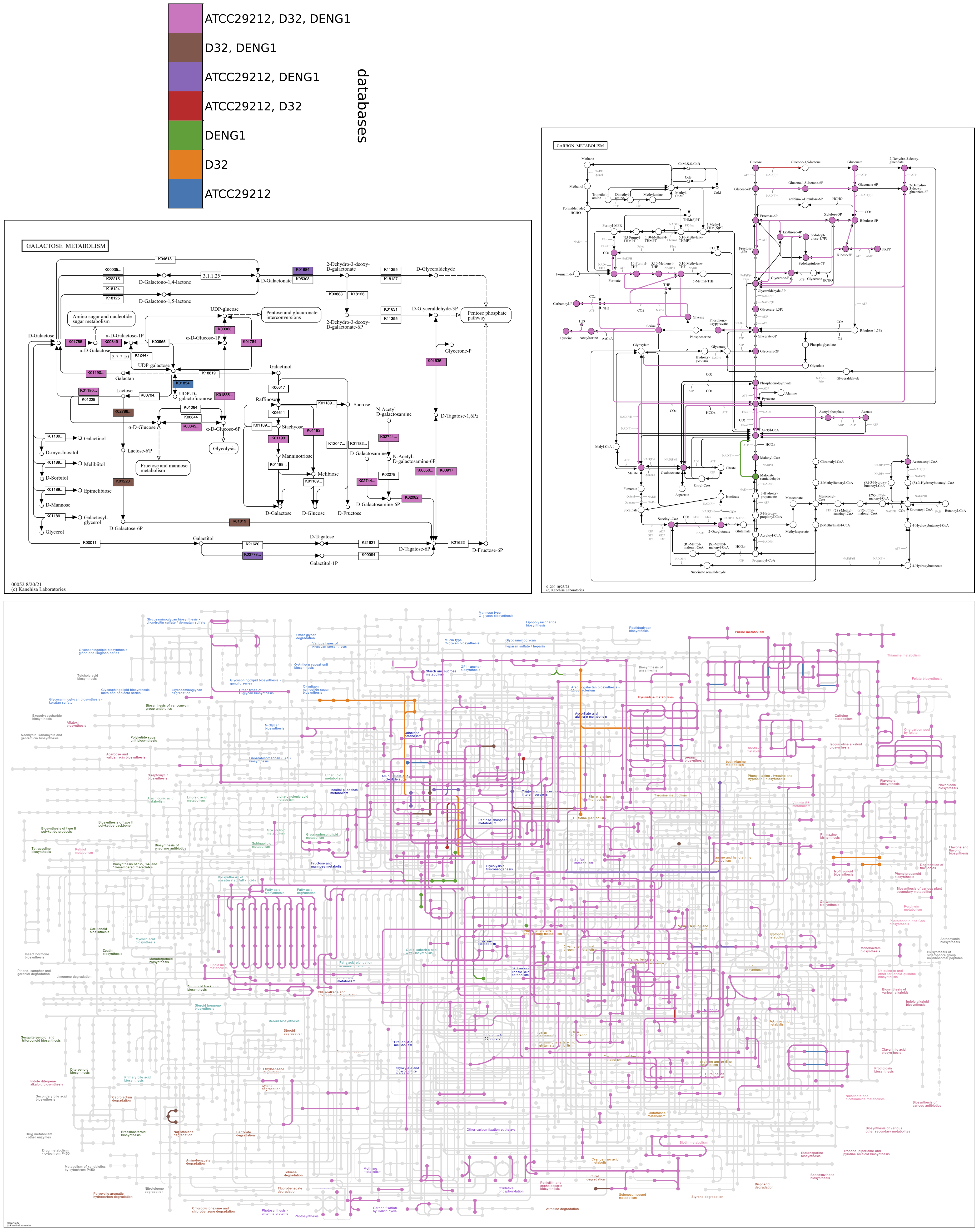 Three maps showing KOs from three contigs databases