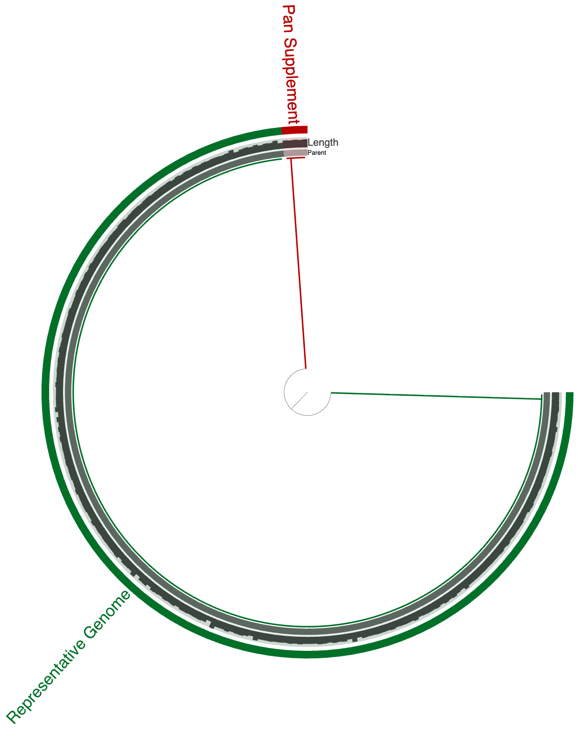 TB representative genome