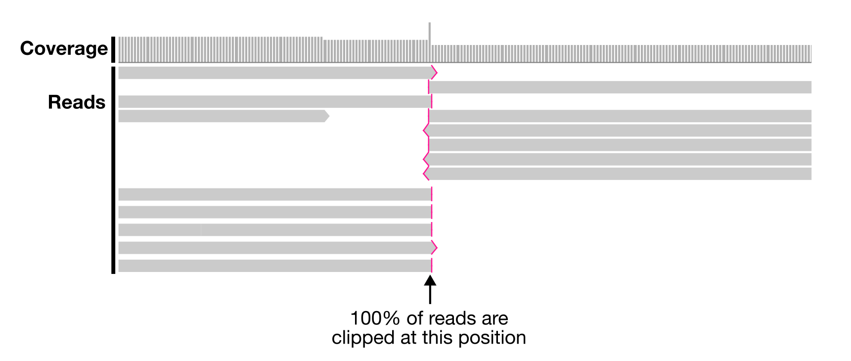 clipping_example