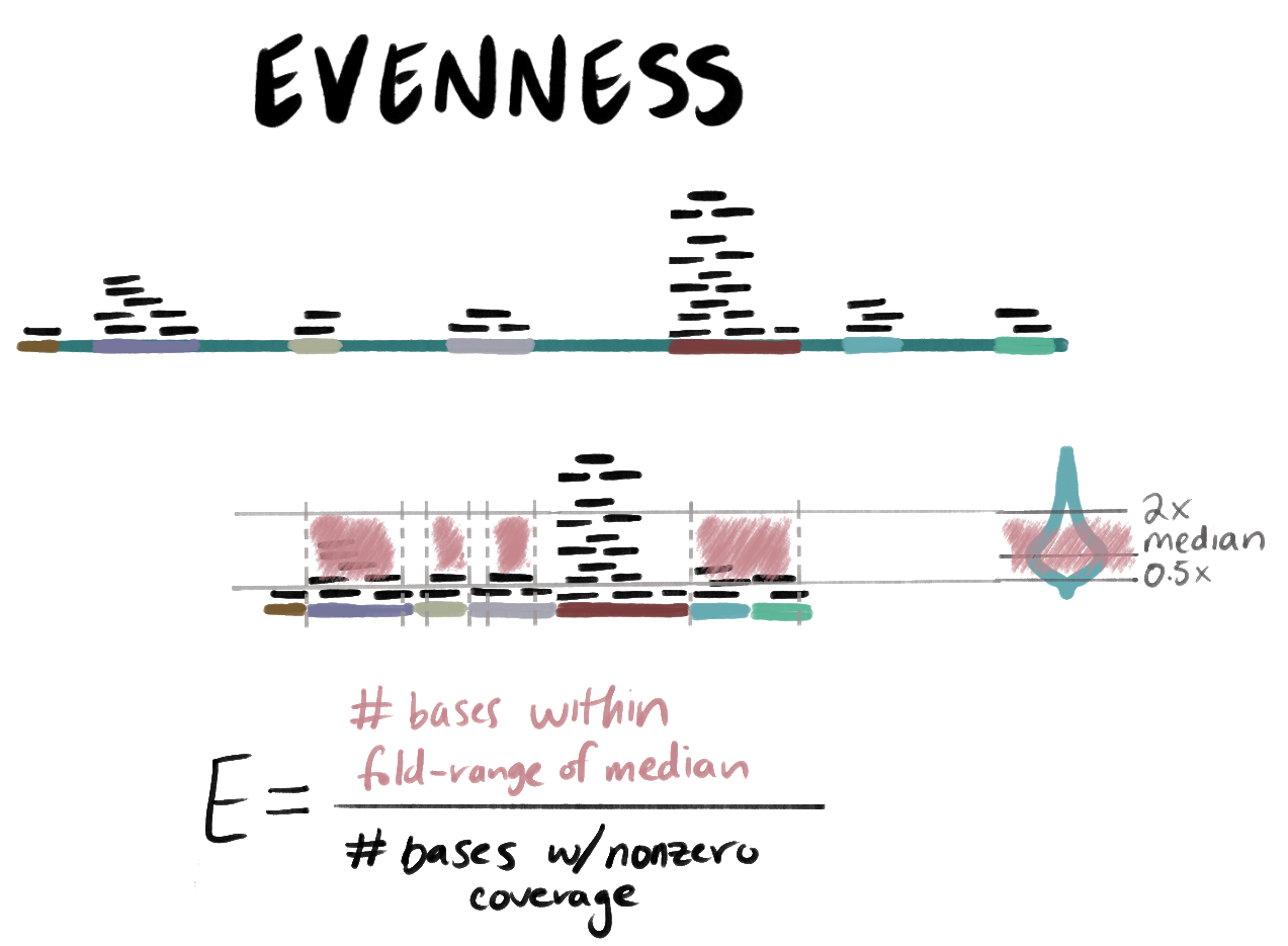 Schematic for Evenness