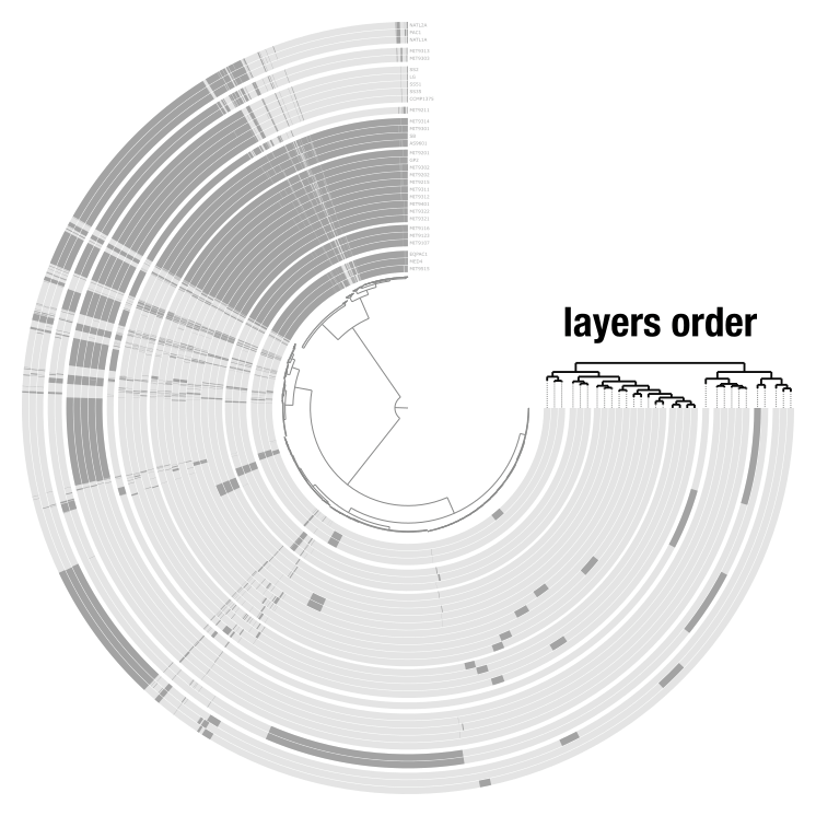 The two dendrograms in an anvi'o display