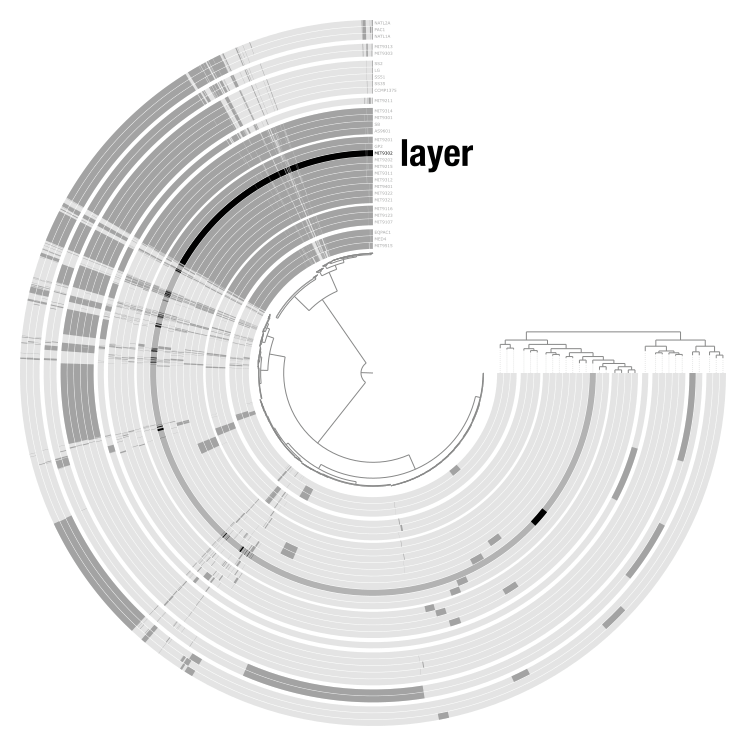 Items and layers in an anvi'o display