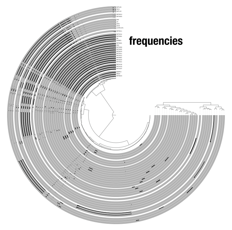 Two views of the same data in an anvi'o display